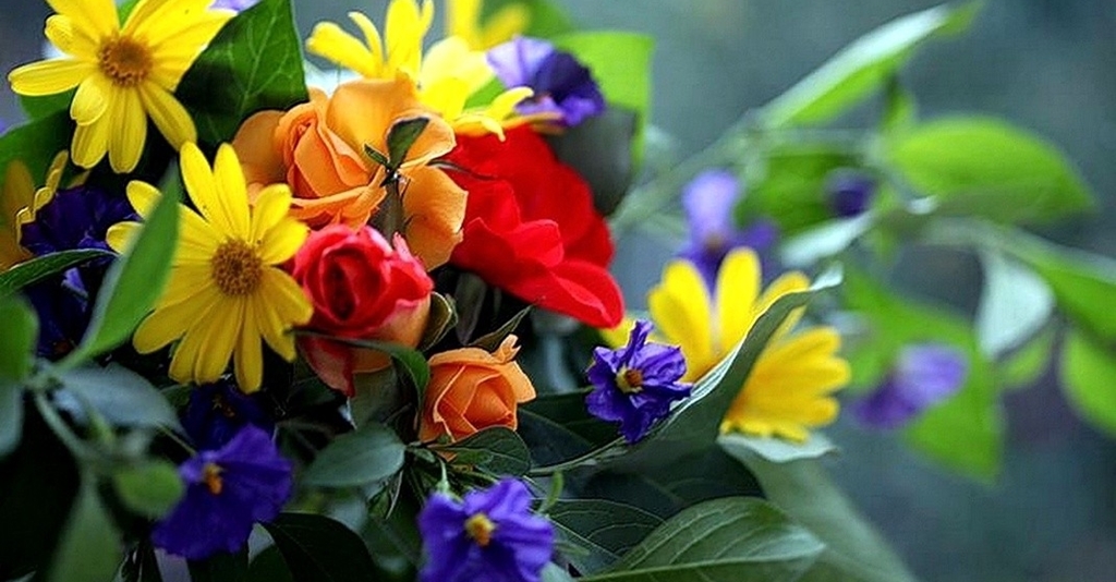 bukiet kwiatów bukiet kwiatów